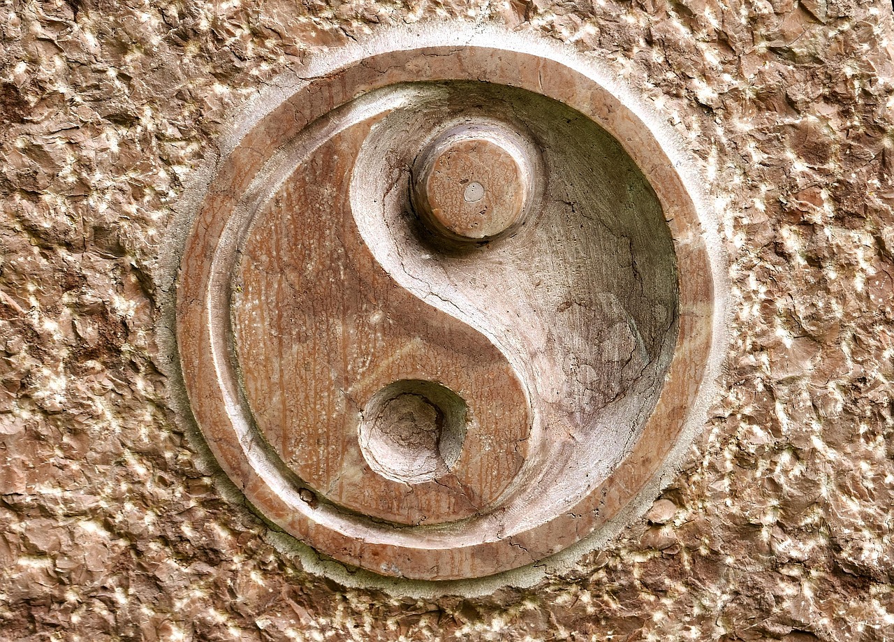 Main image of Ecole de Tai chi Europenne