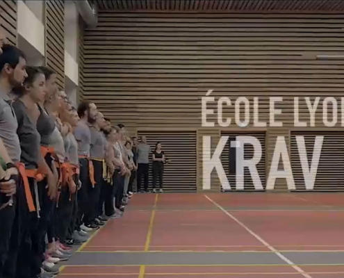 Main image of Ecole Lyonnaise de Krav Maga