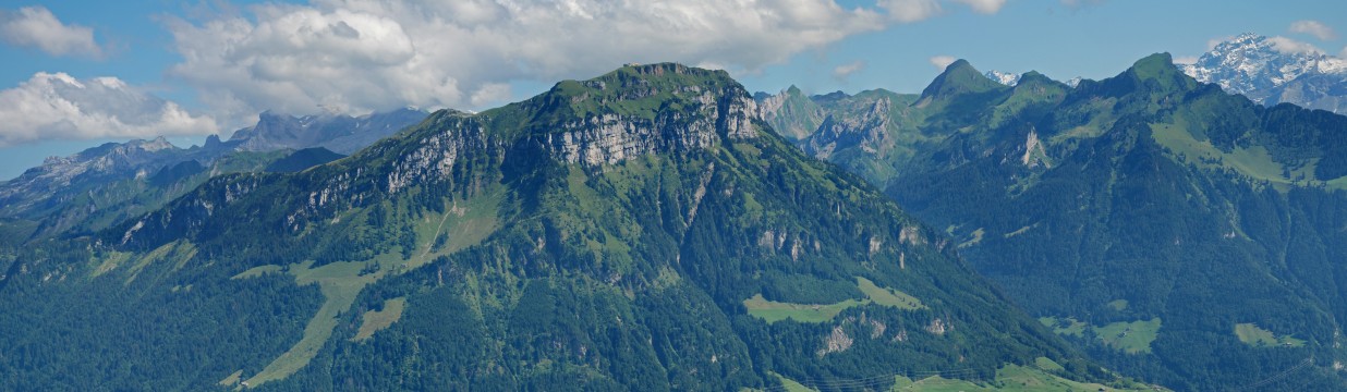 Main image of EcorHorary