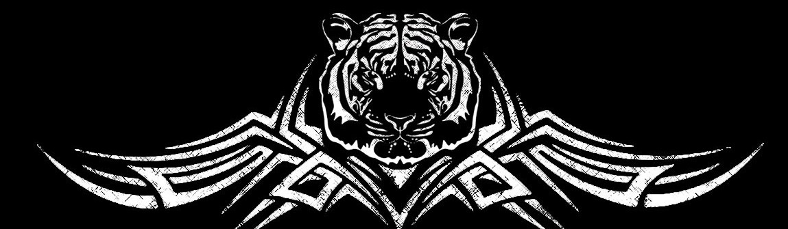 Main image of EDINOBOREC12 FIGHT TEAM