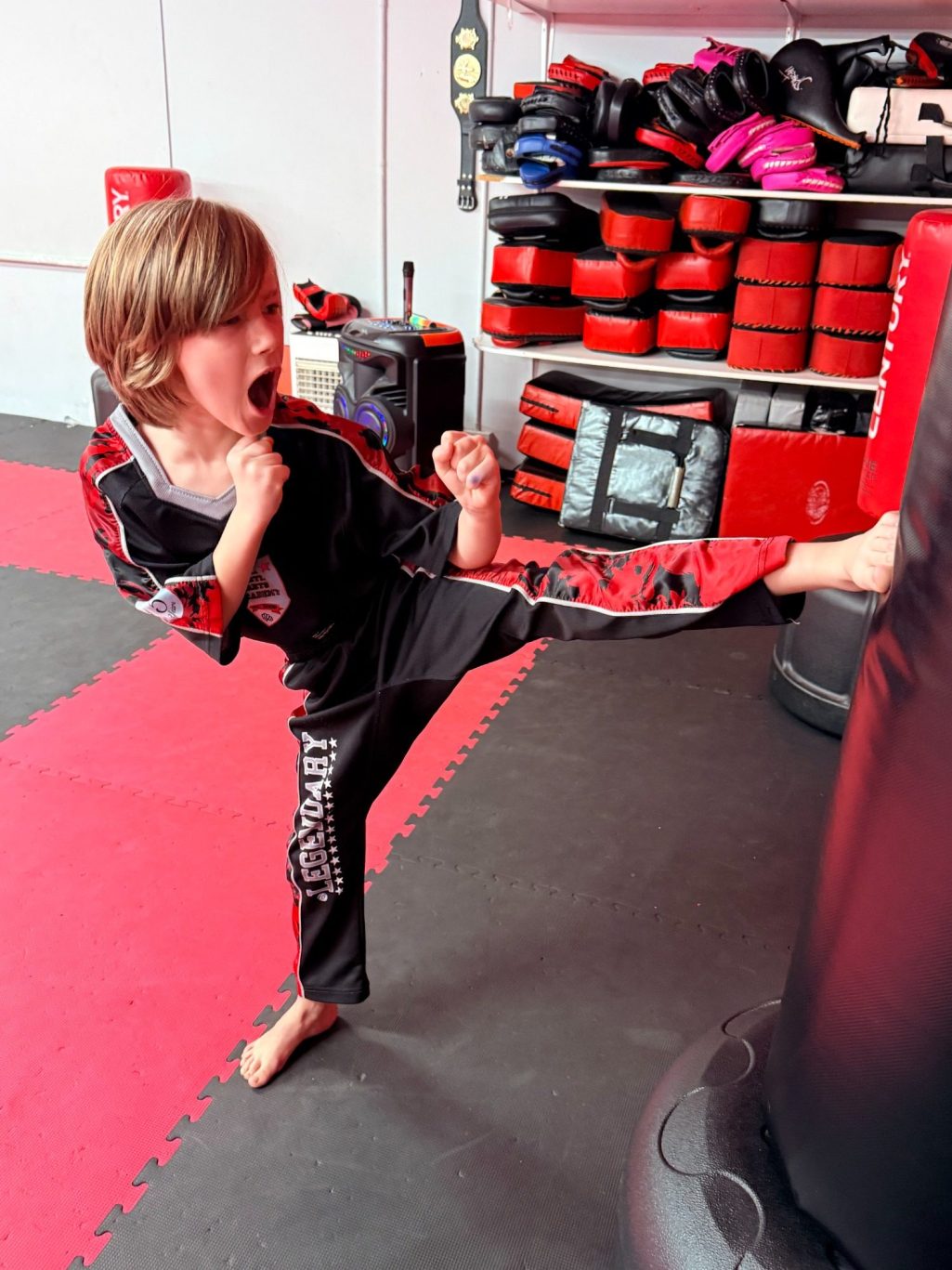 Main image of EKA Martial Arts Academy
