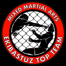 Main image of Ekibastuz Top Team