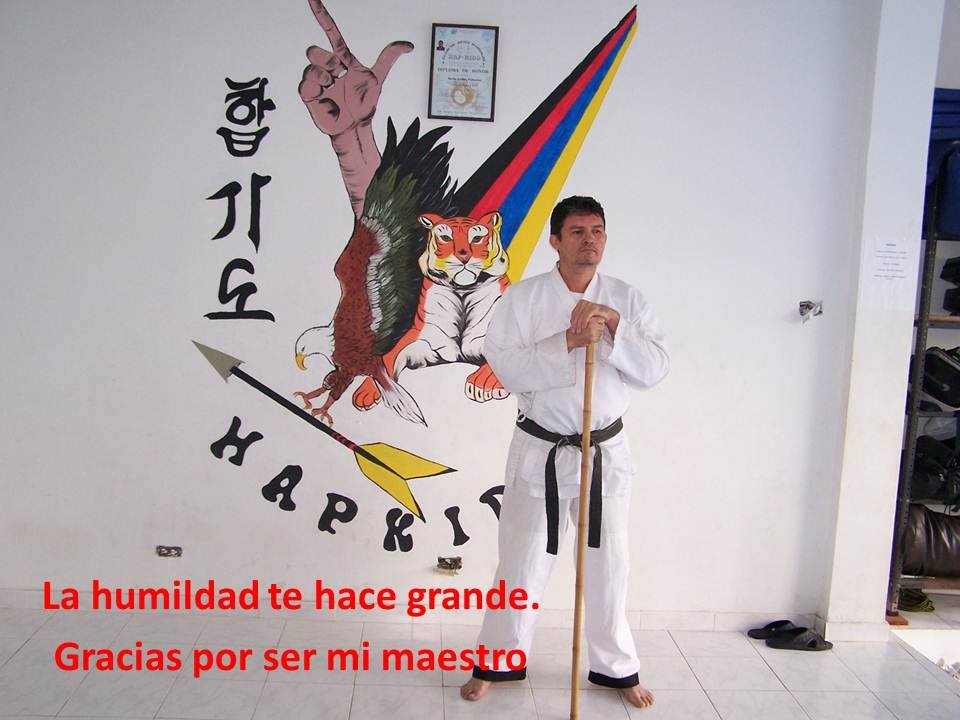 Main image of El Templo del Jin Bo Hapkido