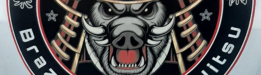 Main image of Elcimar Reis Brazilian Jiu Jitsu