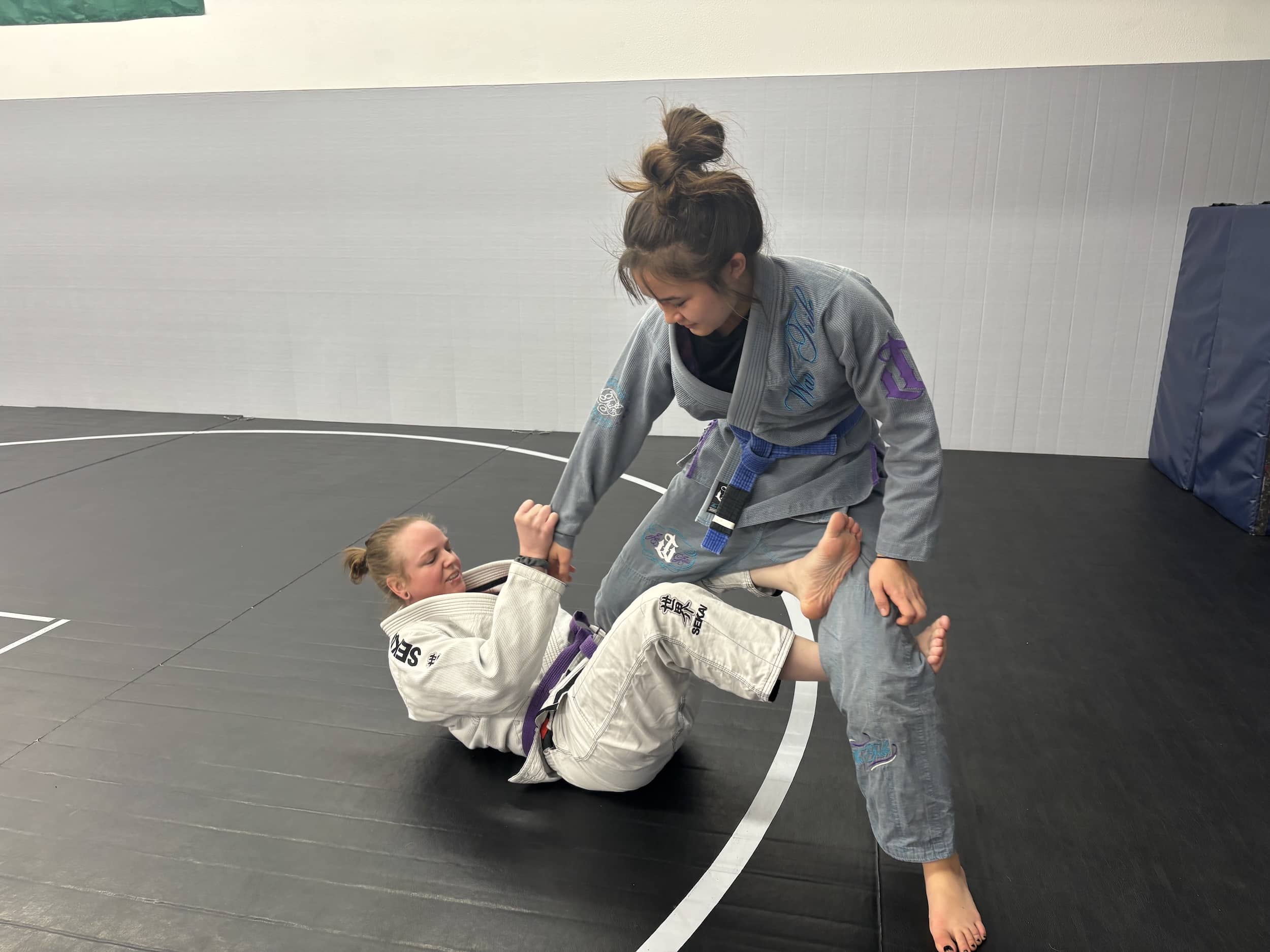 Main image of Elevated Martial Arts