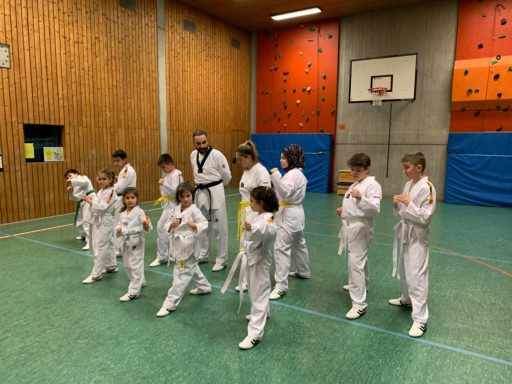 Main image of Elif Taekwondo Sportclub Sindelfingen E.v.