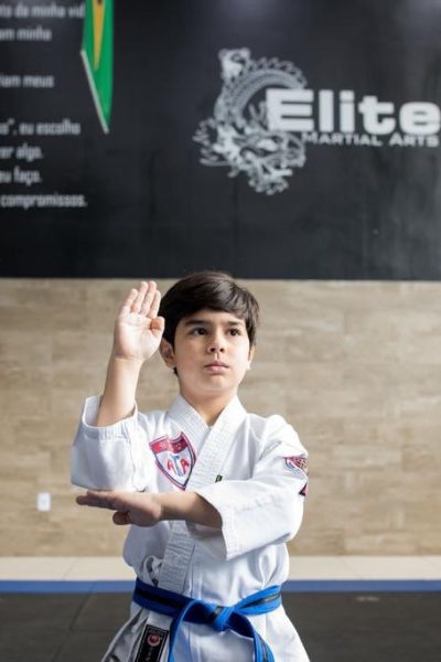 Main image of Elite Artes Marciais