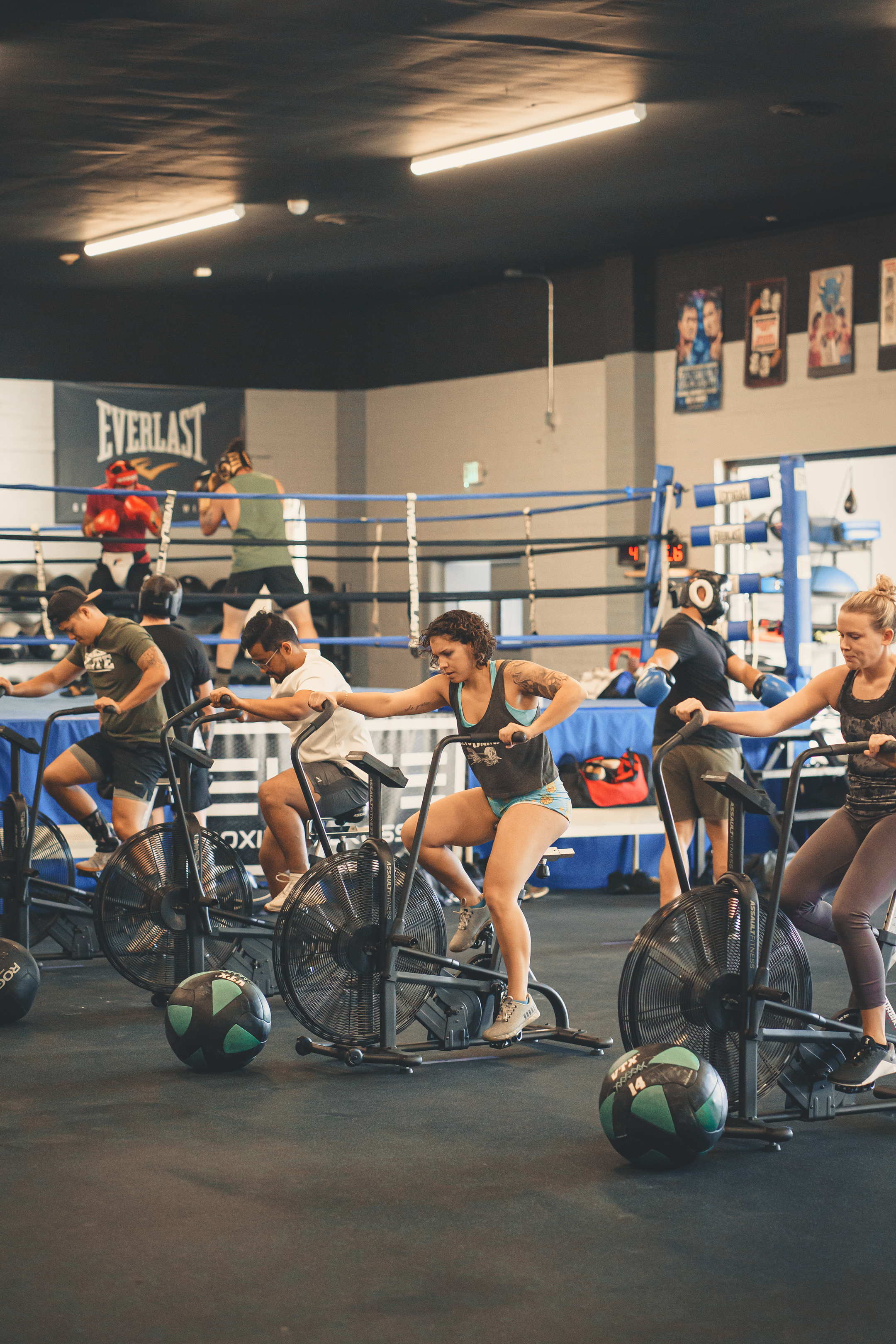 Elite Boxing & CrossFit academy image