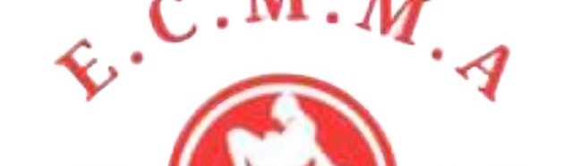 Main image of Elite Champion MMA