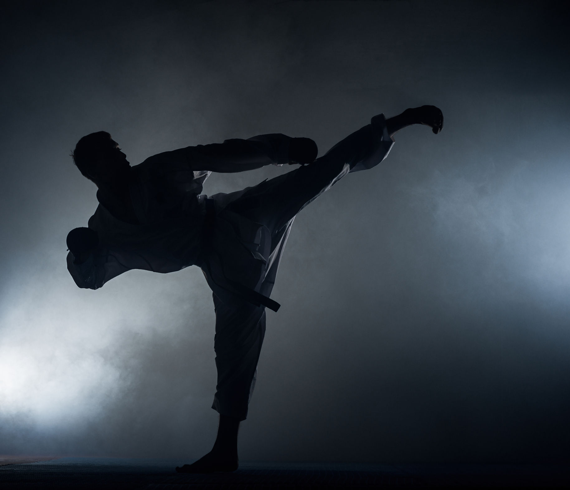 Main image of Elite Dragon Martial Arts