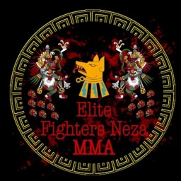 Main image of Élite Figthers Nezahualcóyotl