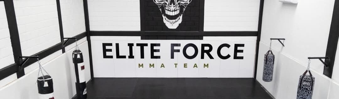 Main image of Elite force mma