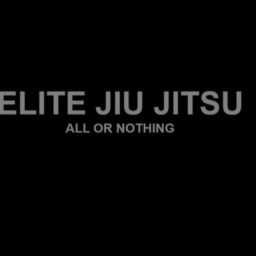 Main image of Elite Jiu Jitsu Somerset
