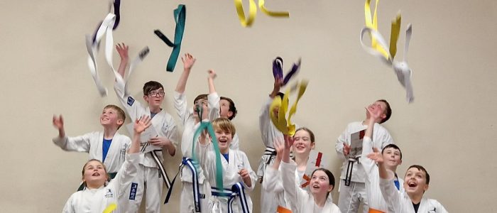 Main image of Elite Ju Jitsu
