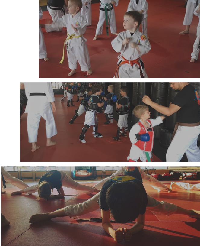 Elite Karate and Kickboxing Academy academy photo
