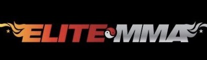 Main image of Elite Mixed Martial Arts - Baytown