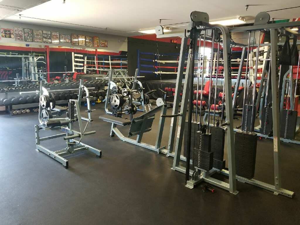 Elite Muay Thai & Fitness academy image