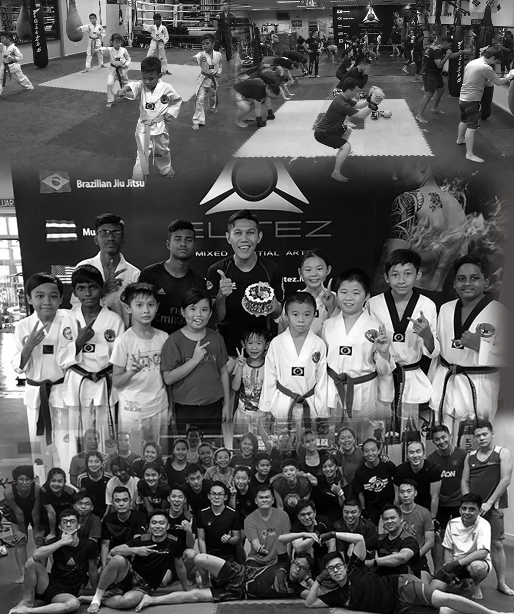 Main image of Elitez MMA - GFTeam PJ