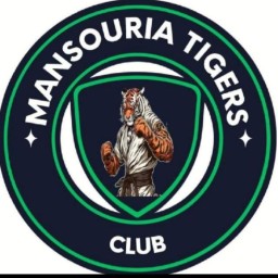 Main image of Elmansouria tigers club