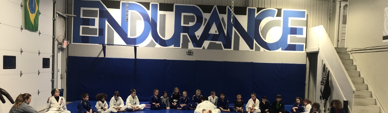 Main image of Endurance BJJ