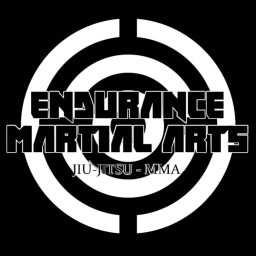 Main image of Endurance Martial arts