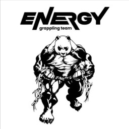 Main image of Energy Grappling