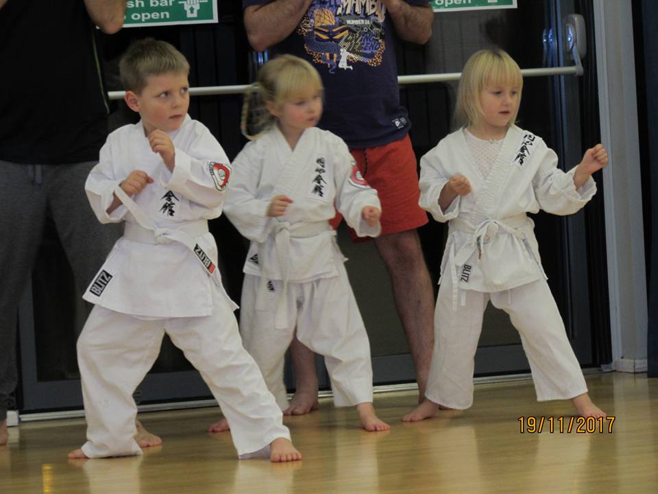 Main image of Enshin Karate Kokoro Dojo