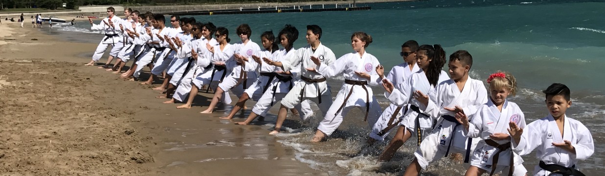 Main image of Enso Karate