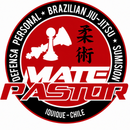 Main image of Equipo Mate Pastor