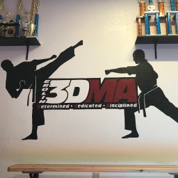 Main image of Erolin 3D Martial Arts