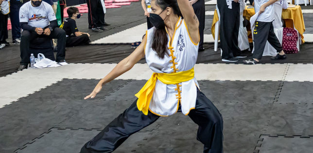 Main image of Escola de Kung Fu Lung Fu