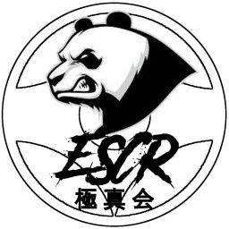 Main image of escr kyokushinkai