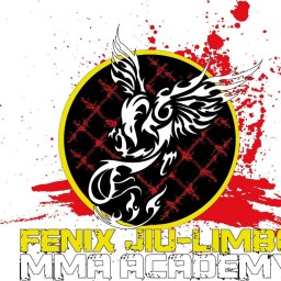 Main image of Escuela de Artes Marciales Mixtas Fénix Jiu-Limbo
