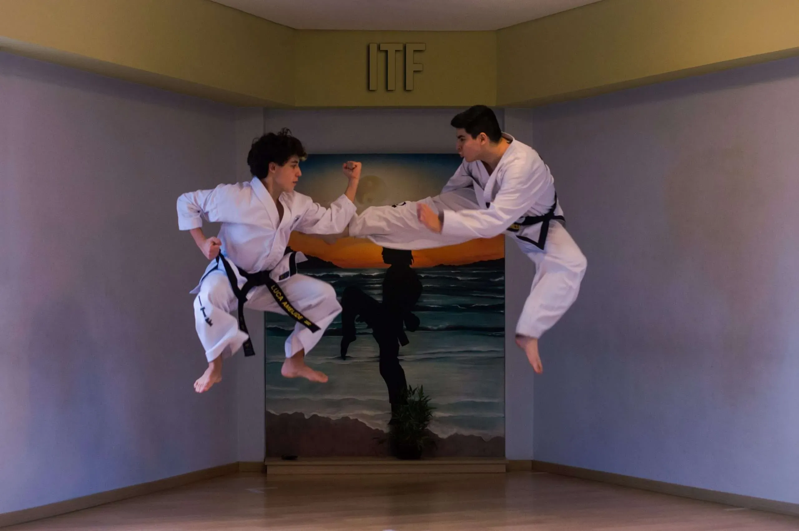 Main image of Escuela de Taekwon-Do Hwa-Rang Alta Gracia