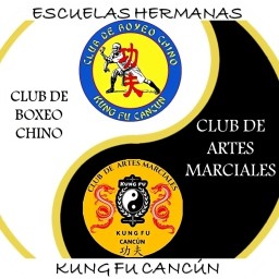 Main image of Escuelas hermanas kungfu cancun
