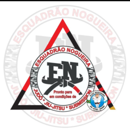 Main image of Esquadrão nogueira