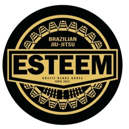 Main image of esteem_hyosung