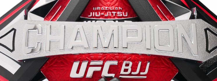 UFC BJJ #14 event artwork