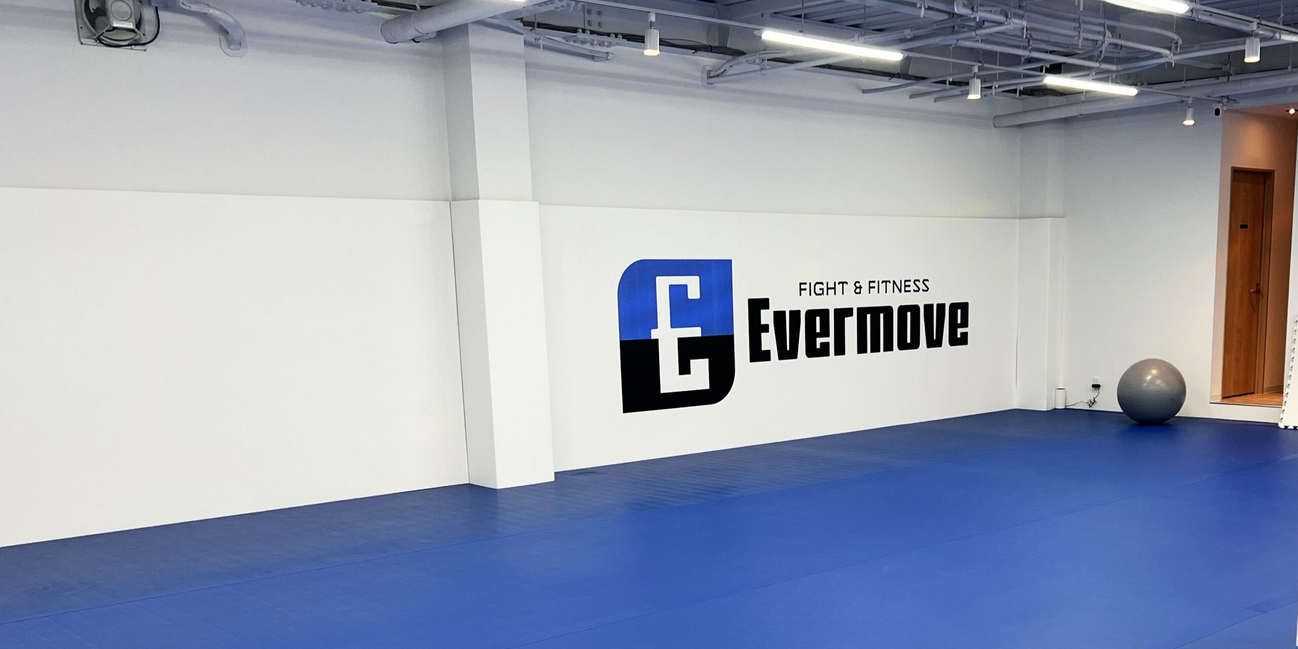 Main image of Evermove