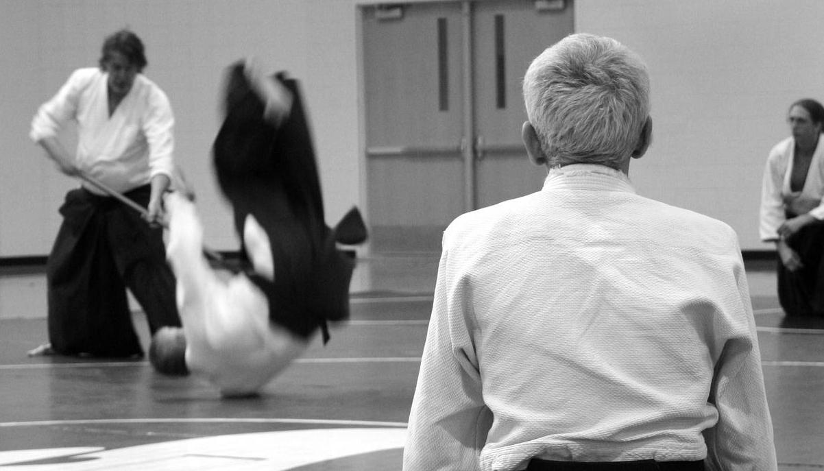 Main image of Evolution Dojo