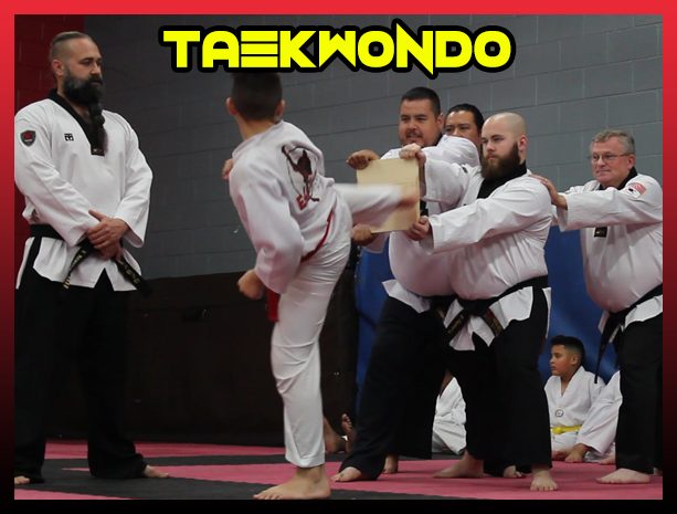 Main image of Evolution Martial Arts of Lakeland Inc