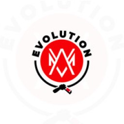 Main image of Evolution MMA - Naples, FL