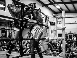 Evolution Muay Thai Martial Science academy photo