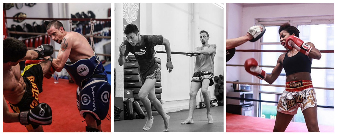 Evolution Muay Thai academy photo