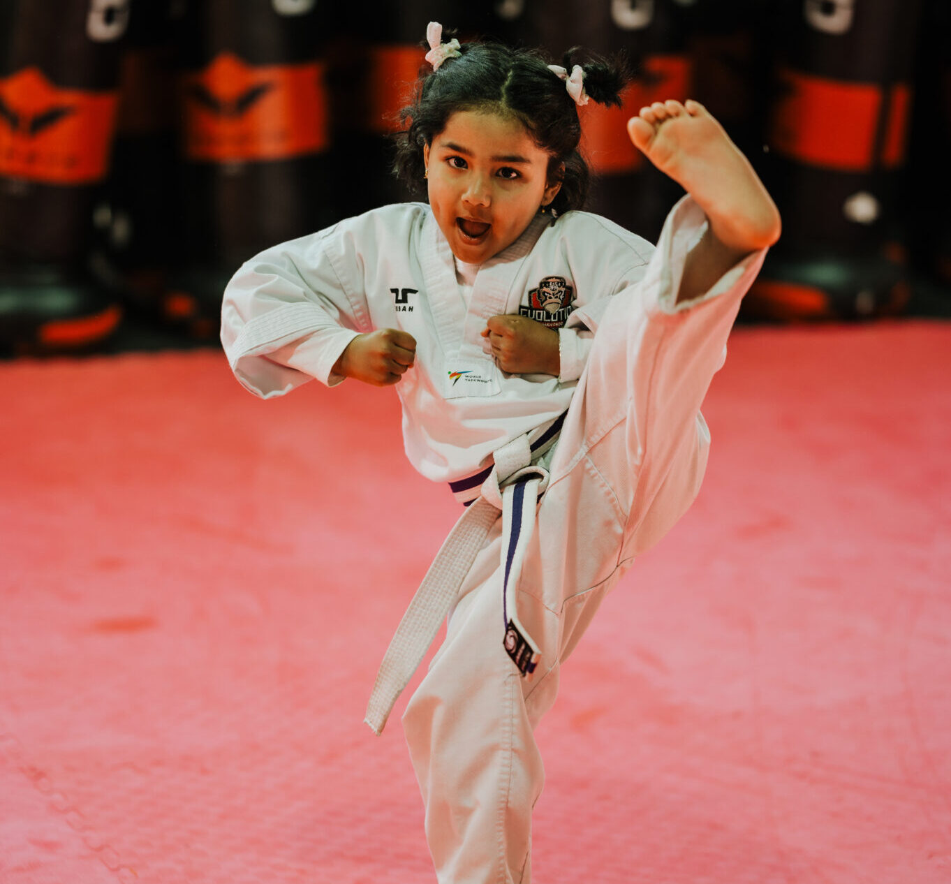 Main image of Evolution TaeKwonDo