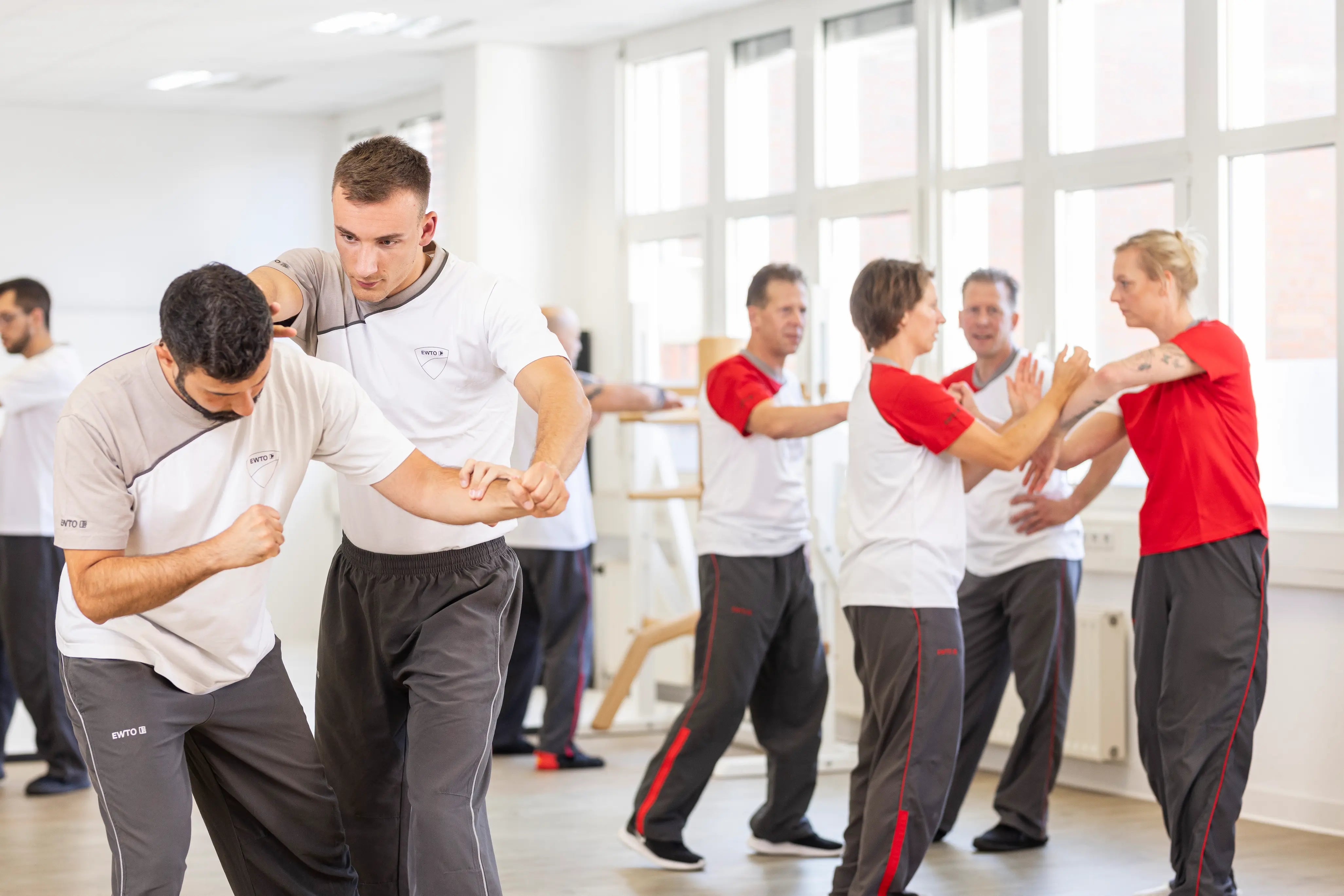 Main image of Ewto Italia Official