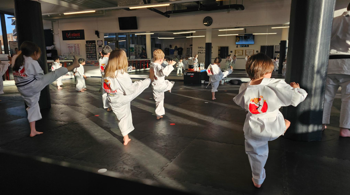 Main image of Excellent Martial Arts