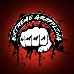 Main image of Extreme grappling & MMA
