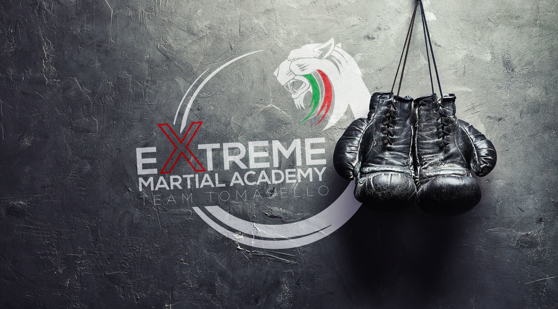 Main image of Extreme Martial Academy