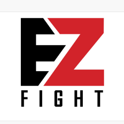 Main image of EZ FIGHT